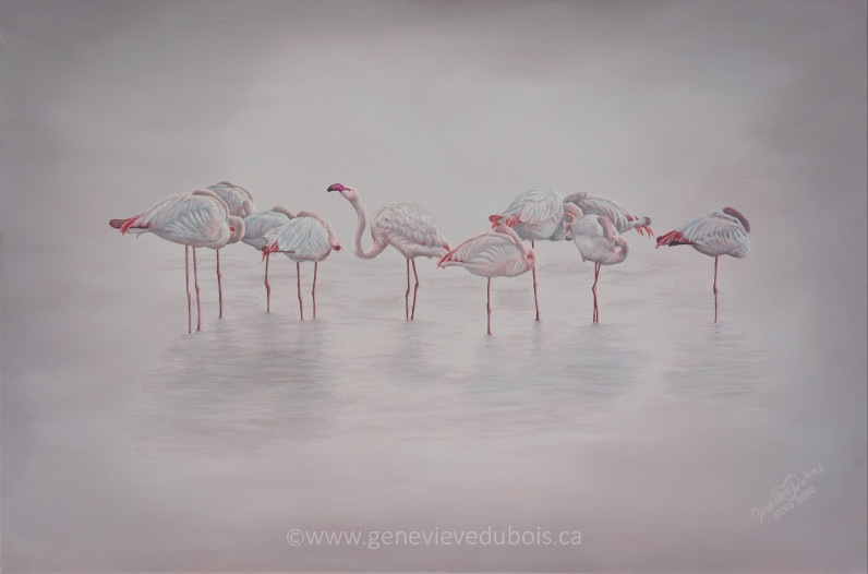 10 flamants rose dans un brouillard