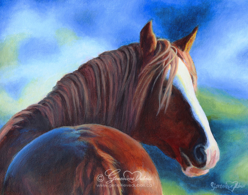 Cheval sauvage